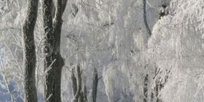 texni-tapetsaries-toixou-1176