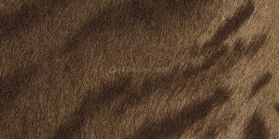 apomimisi-animalp-tapetsaria-toixou-15960