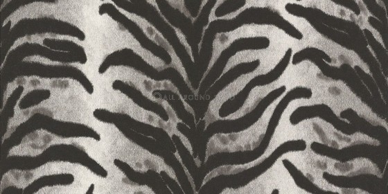 apomimisi-animalp-tapetsaria-toixou-663221