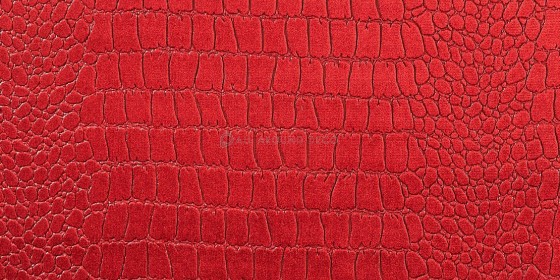 apomimisi-animalp-tapetsaria-toixou-vct21878111
