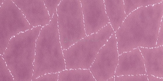apomimisi-derma-tapetsaria-toixou-17206