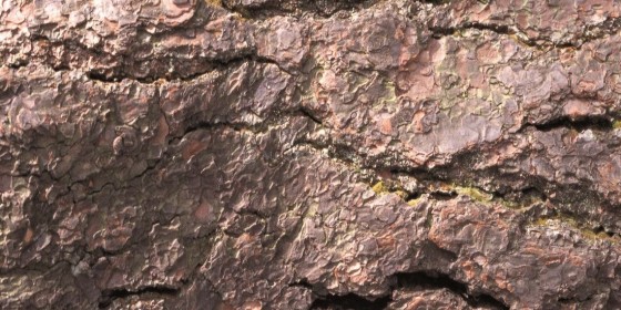 apomimisi-ksulou-tapetsaria-toixou-ad503082